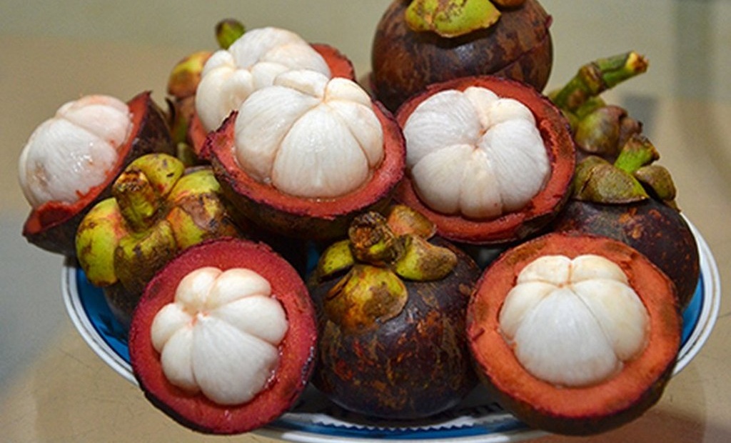 Măng Cụt Chợ Lách