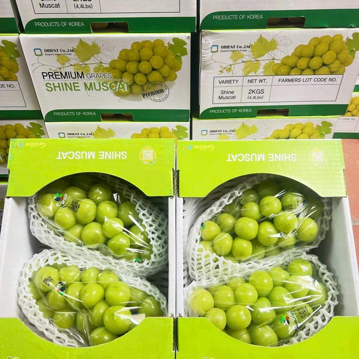 Nho Mẫu Đơn Hàn Quốc