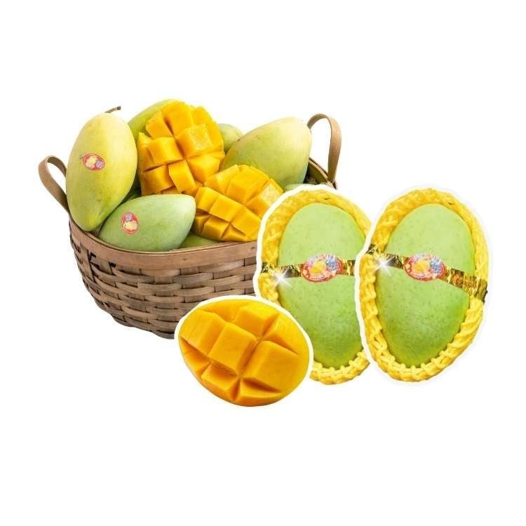 Xoài Cát Hòa Lộc